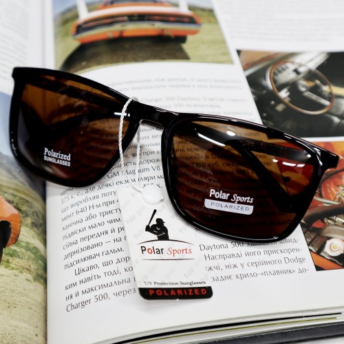 Чоловічі Polarized A0073 brown